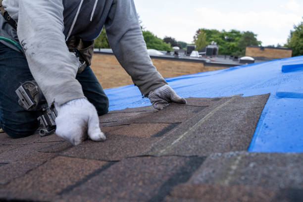 Best Flat Roof Repair Services  in El Cerrito, CA