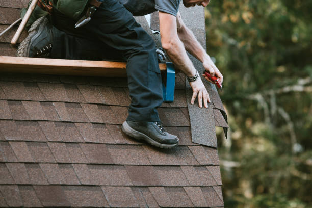 Professional Roofing Contractor in El Cerrito, CA
